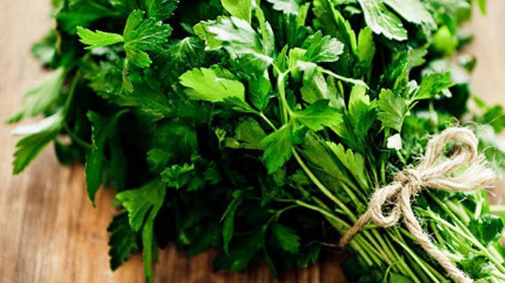 Maydanozu 1 ay dipdiri tutan taktik Karbonat dökün, sonucu görün