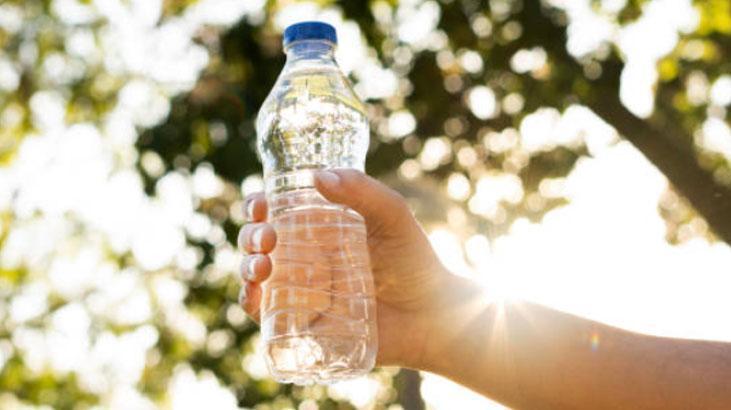 Köksüz orkideyi bile köklendirir Azıcık zerdeçal dökün, pet şişede büyüyor