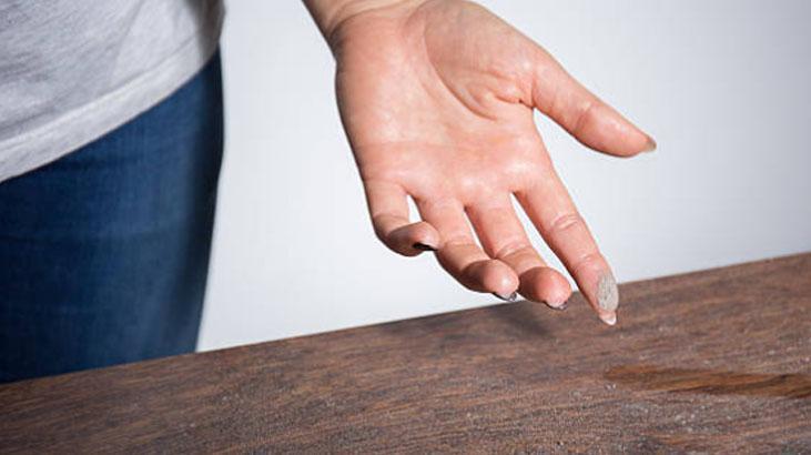 Ortam kirliliği: Ev ve iş yerinde tozlu-tüylü eşyalar, evcil hayvanlar Ortam kirliliği: Ev ve iş yerinde tozlu-tüylü eşyalar, evcil hayvanlar