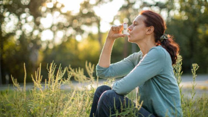 Tütün ürünleri Tütün ürünleri