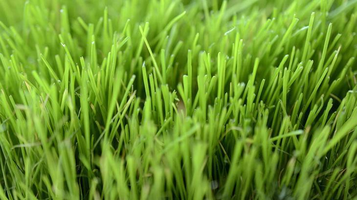 Bahçe çimlendirmenin en doğru zamanı Bütün sır gübrede saklı Bahçe çimlendirmenin en doğru zamanı Bütün sır gübrede saklı