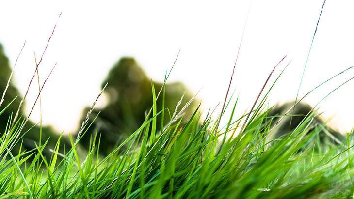 1. Adım: Kiri temizlemek