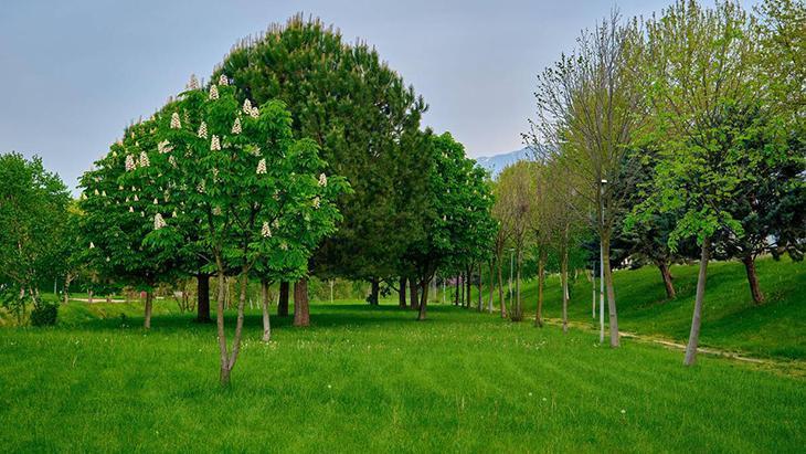 Çimen lekelerini anında yok ediyor Doğayla iç içe olmaktan korkmayın