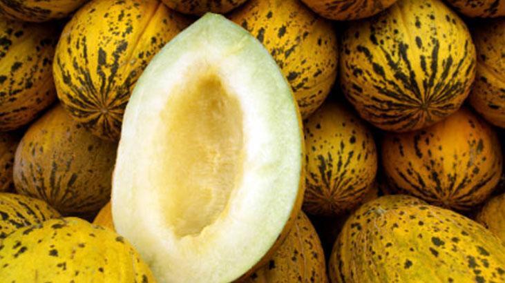 Bal gibi kavun kabuğundan belli olur Sap kısmı yumuşaksa kaçırmayın