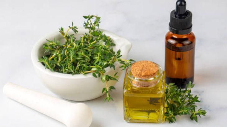 Zeytinyağlı kekik kavanozu şifa dağıtıyor Kahvaltının yıldızı, 5 dakikada hazır