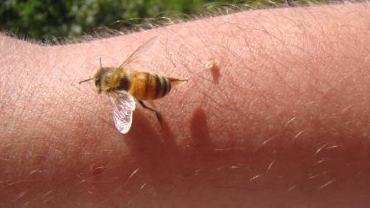 KENE VE ARIDAN KORUNMANIN YOLLARI NELER