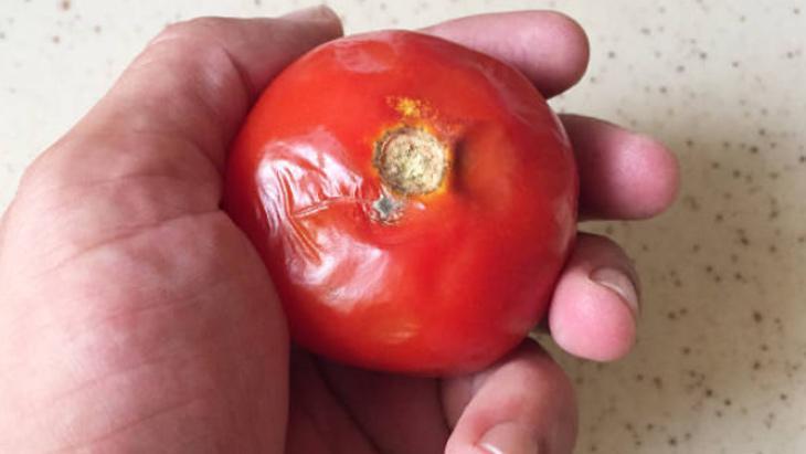 MENEMENLİK SOS YAPABİLİRSİNİZ