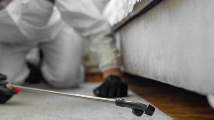 SİNEĞİ DIŞARI ÇIKARMANIN BİLİMSEL YOLU SİNEĞİ DIŞARI ÇIKARMANIN BİLİMSEL YOLU