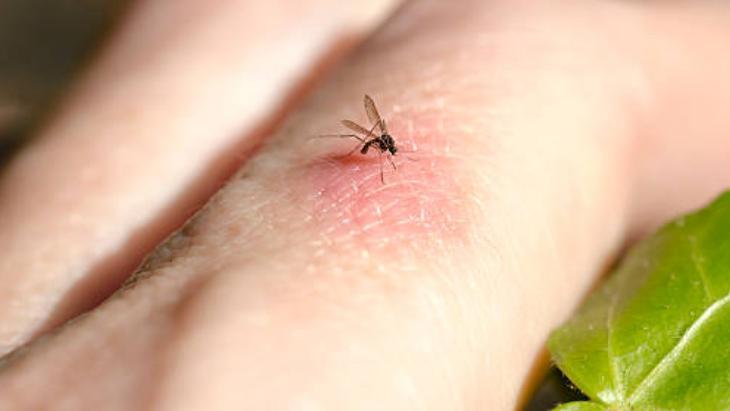 Camlar açık olduğu halde çıkmıyorsa işte taktik Söndürünce sinekler kaçacak Camlar açık olduğu halde çıkmıyorsa işte taktik Söndürünce sinekler kaçacak