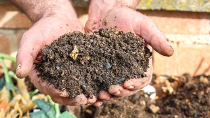 EVDE BİTKİ BESLEMEK İSTEYENLERE DENESİN EVDE BİTKİ BESLEMEK İSTEYENLERE DENESİN