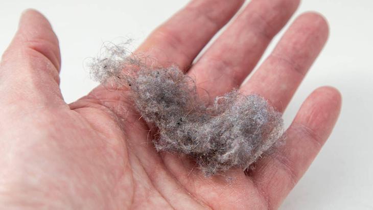 Evde aniden kese kese toz mu birikiyor Sil sil bitmiyorsa sorun perdede Evde aniden kese kese toz mu birikiyor Sil sil bitmiyorsa sorun perdede