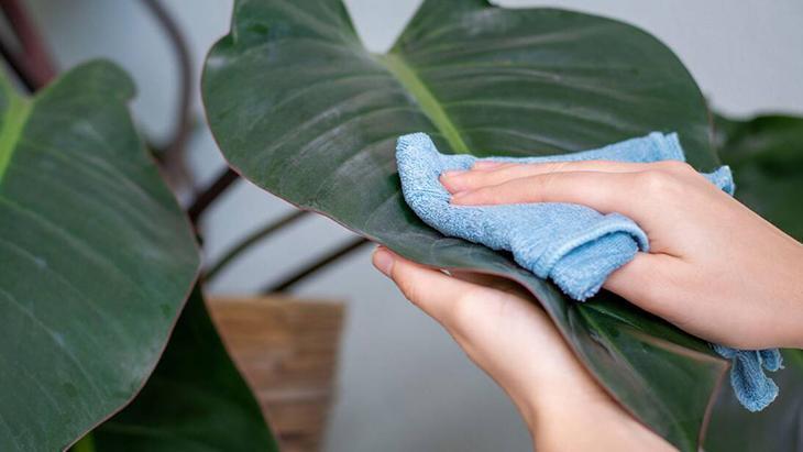 Evde aniden kese kese toz mu birikiyor Sil sil bitmiyorsa sorun perdede Evde aniden kese kese toz mu birikiyor Sil sil bitmiyorsa sorun perdede