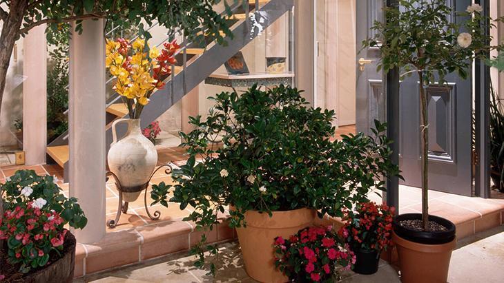 Gülünü seven yanına dikmesin Hem suyunu hem güneşi sömürüyor, tek başına parlasın Gülünü seven yanına dikmesin Hem suyunu hem güneşi sömürüyor, tek başına parlasın