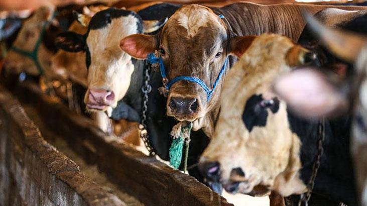 KURBAN BAYRAMI 2025 TARİHLERİ