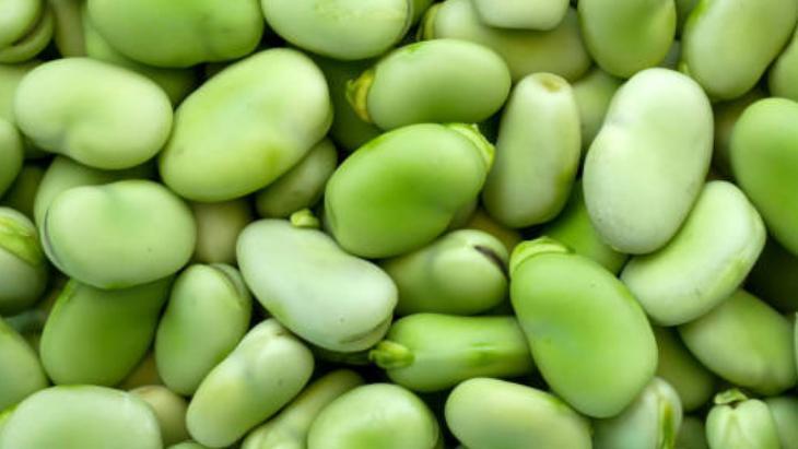 Zerre kararmayan baklanın sırrıymış Bir tutamı kıvam verir, her aşamada limon koyun Zerre kararmayan baklanın sırrıymış Bir tutamı kıvam verir, her aşamada limon koyun