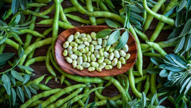 ZEYTİNYAĞLI BAKLA TARİFİNİN SERVİS ÖNERİSİ ZEYTİNYAĞLI BAKLA TARİFİNİN SERVİS ÖNERİSİ