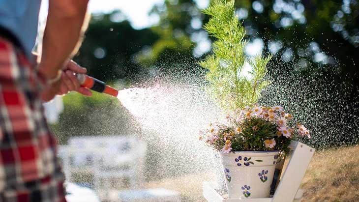 Kendi kendini sulayan çiçek hayal değil Kristaller bir başka, asla kurutmuyor Kendi kendini sulayan çiçek hayal değil Kristaller bir başka, asla kurutmuyor
