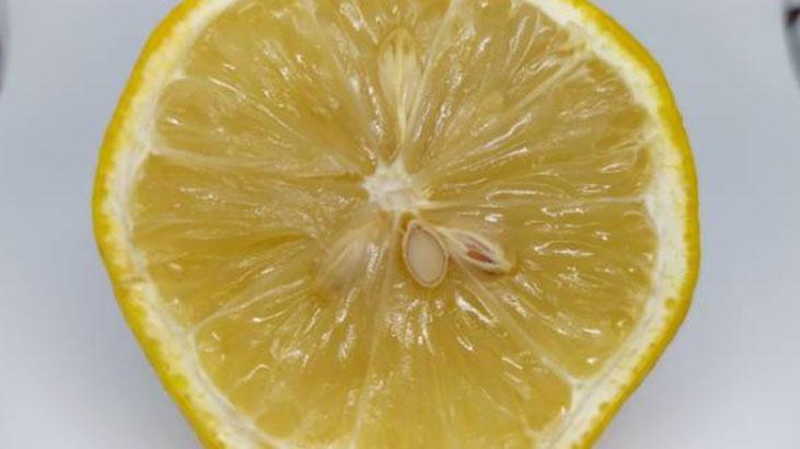 Limon mu, sirke mi Salata için doğru asidi seçin, kilo vermek isteyenler için birebir Limon mu, sirke mi Salata için doğru asidi seçin, kilo vermek isteyenler için birebir