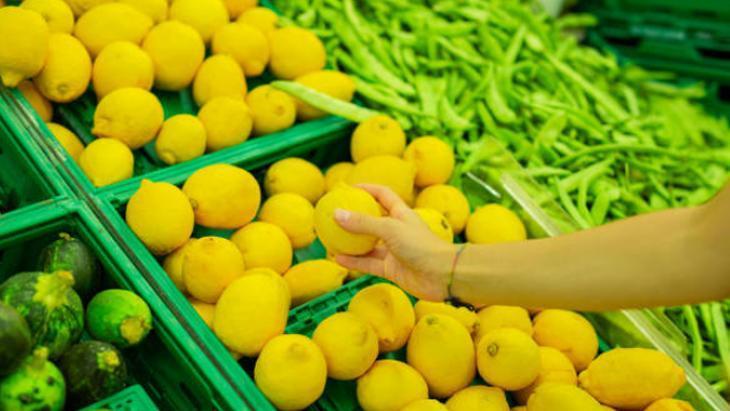 LİMON AĞACI BU ORTAMI SEVER LİMON AĞACI BU ORTAMI SEVER