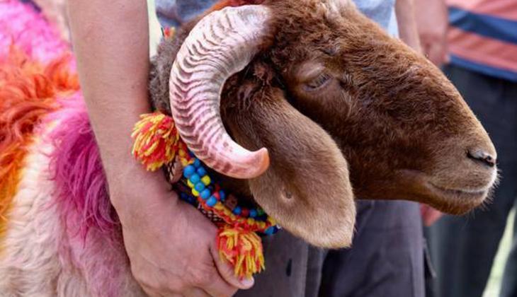 KURBAN BAYRAMI NE ZAMAN BAŞLIYOR,  KAÇ GÜN KALDI