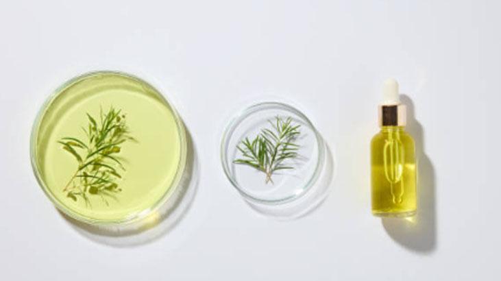 Yazın ter kokmaktan korkmayın Tek damlası deodoranttan daha etkili, kokuyu hapsediyor