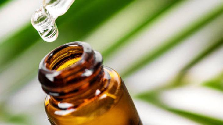 Yazın ter kokmaktan korkmayın Tek damlası deodoranttan daha etkili, kokuyu hapsediyor