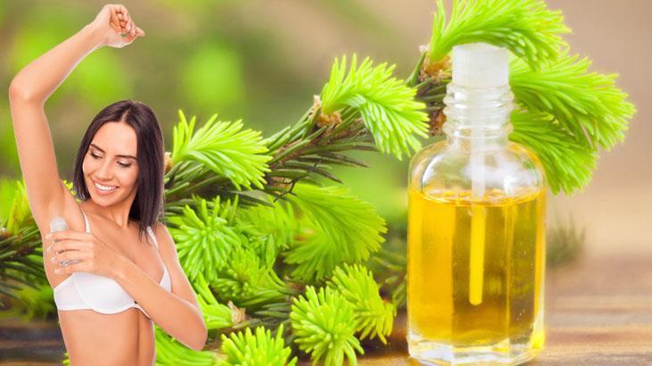 Yazın ter kokmaktan korkmayın Tek damlası deodoranttan daha etkili, kokuyu hapsediyor