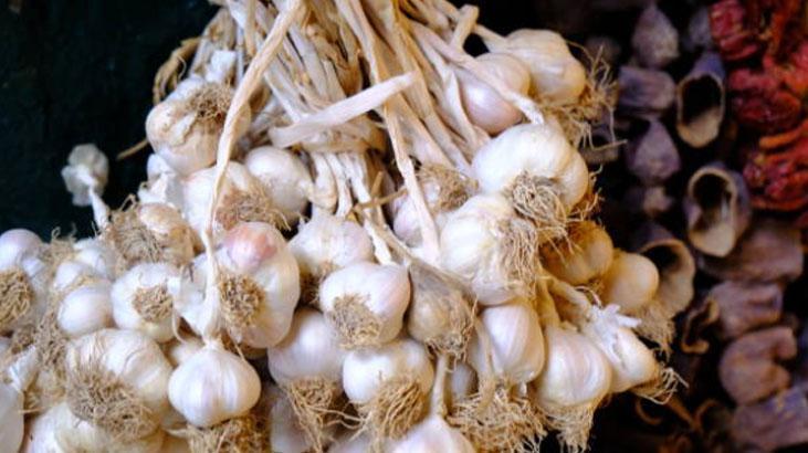 Sarımsakta verimi katlayan hamle Okları 1 cm kala temizleyen kazanıyor Sarımsakta verimi katlayan hamle Okları 1 cm kala temizleyen kazanıyor