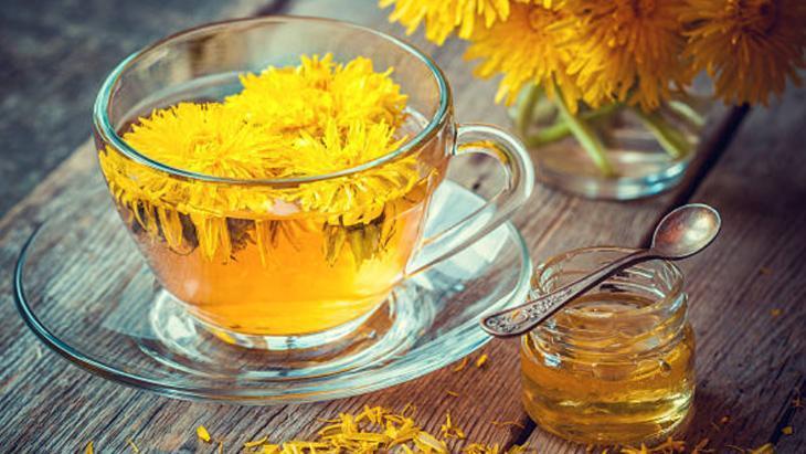 4. KARAHİNDİBA (TARAXACUM OFFİCİNALE) 4. KARAHİNDİBA (TARAXACUM OFFİCİNALE)