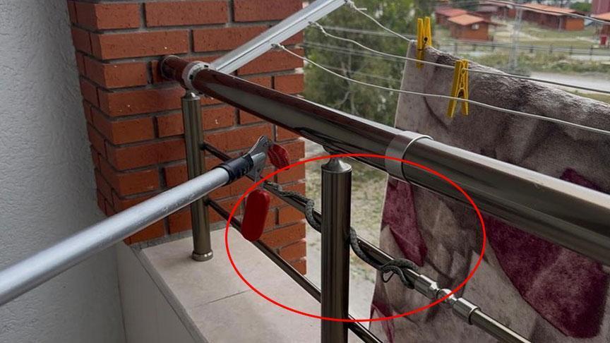 Yılanlar her yeri sardı Camiden, evin balkonundan, aracın kaputundan çıktılar