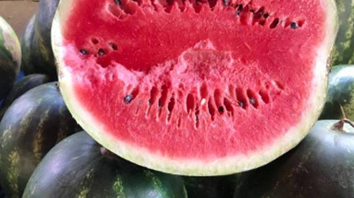 Karpuzun dışı da konuşuyor En tatlı ve sulusu bir bakışta sapından anlaşılıyor Karpuzun dışı da konuşuyor En tatlı ve sulusu bir bakışta sapından anlaşılıyor