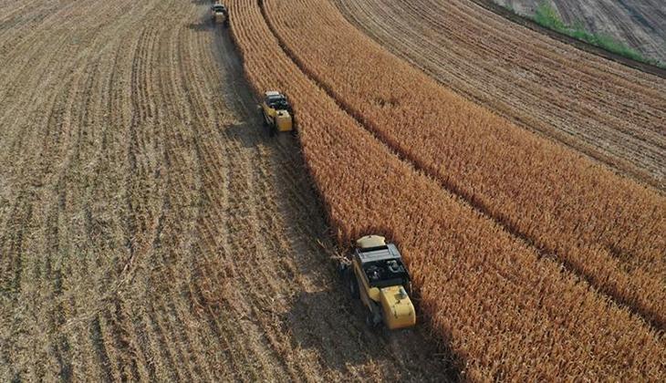 Tarımsal Destekler 👩🏻‍🌾👨🏻‍🌾 Çiftçi desteği yattı mı, ne zaman yatacak 2025 Çiftçi destekleri ne kadar
