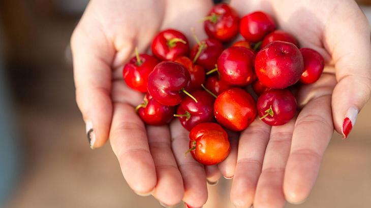 Dünyanın en faydalı meyve suyu Saniyeler içinde metabolizmayı harekete geçiriyor Dünyanın en faydalı meyve suyu Saniyeler içinde metabolizmayı harekete geçiriyor