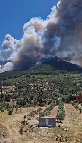 İzmir’in orman yangını 5 mahalle tahliye ediliyor