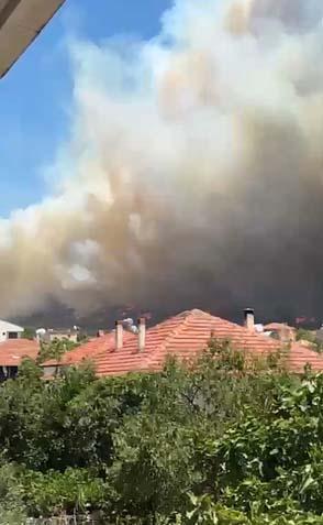 İzmir’in orman yangını 5 mahalle tahliye ediliyor