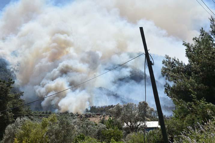 İzmir’in orman yangını 5 mahalle tahliye ediliyor
