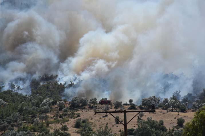 İzmir’in orman yangını 5 mahalle tahliye ediliyor
