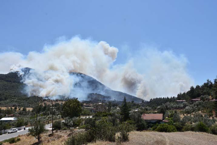 İzmir’in orman yangını 5 mahalle tahliye ediliyor