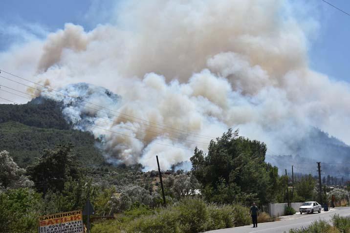 İzmir’in orman yangını 5 mahalle tahliye ediliyor