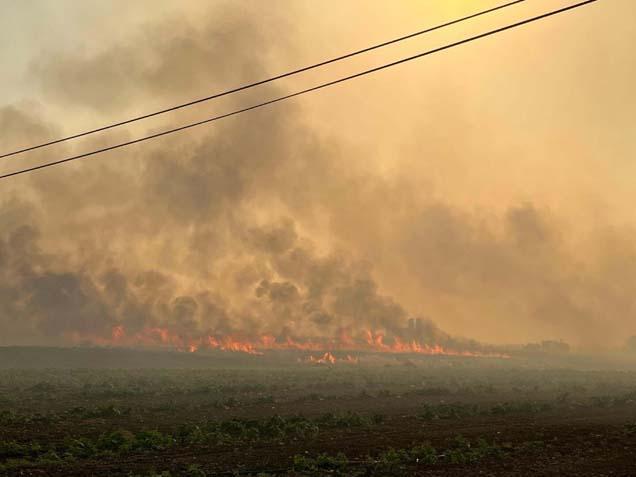 Çeşme'de büyük yangın! İşte korkunç görüntüler...