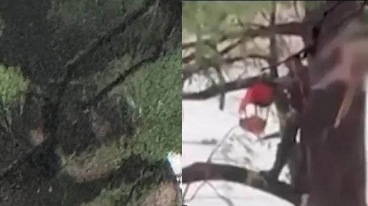 Teksasta büyük felaket: 32 km sürüklendi, ölü sayısı artıyor, işte felaketten görüntüler