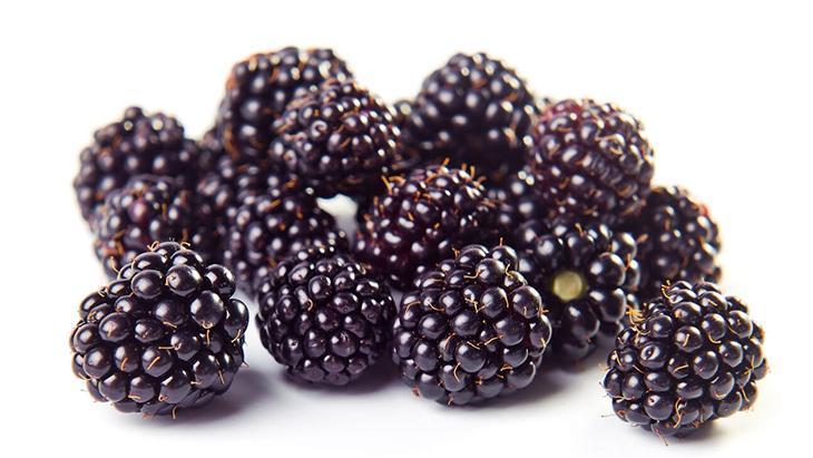 5- K vitamininden zengin 5- K vitamininden zengin