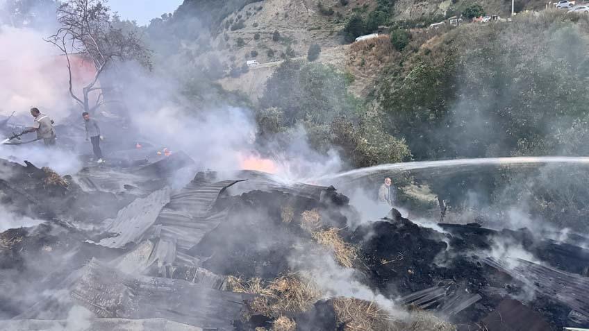 Türkiye yangın yeri Acı fotoğraflar peş peşe geldi...