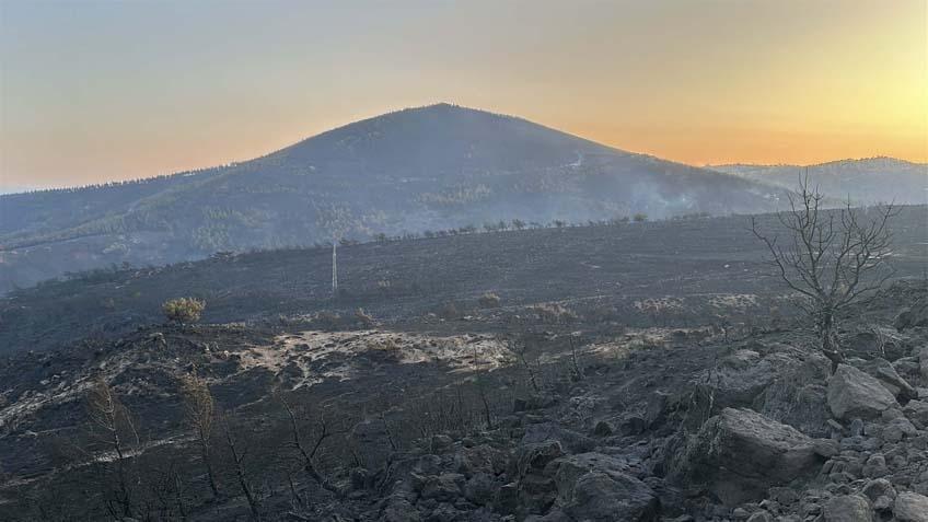 Türkiye yangın yeri Acı fotoğraflar peş peşe geldi...