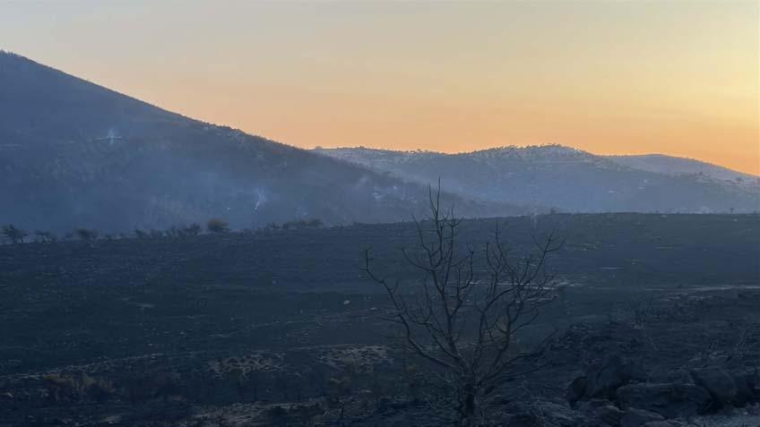 Türkiye yangın yeri Acı fotoğraflar peş peşe geldi...