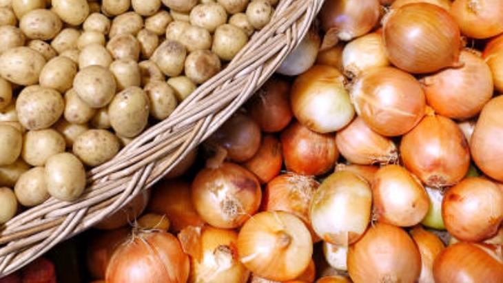 KURU SOĞAN SAKLAMA (KIRMIZI, SARI, BEYAZ SOĞAN) KURU SOĞAN SAKLAMA (KIRMIZI, SARI, BEYAZ SOĞAN)