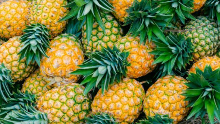 ANANAS NASIL SAKLANIR ANANAS NASIL SAKLANIR