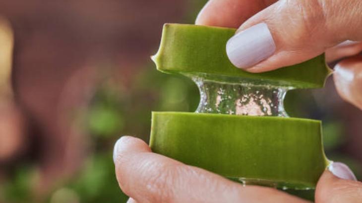 ALOE VERA JELİ ALOE VERA JELİ