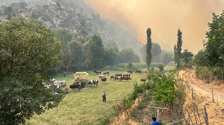 Uşaktaki yangından görüntüler