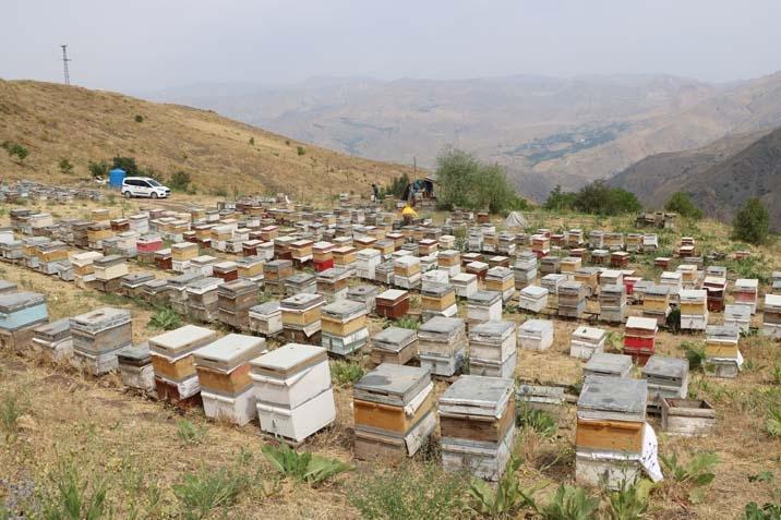 30 yıl önce küçük bir destekle yola çıktı, şimdi Türkiye’ye satıyor ‘Yorucu ama çok güzel’